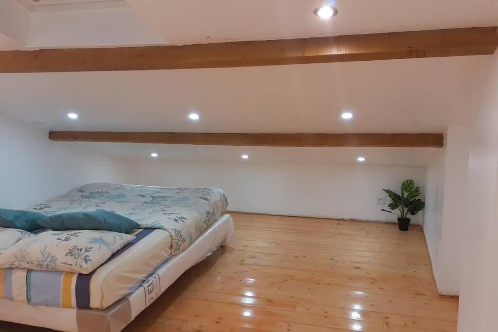 Appartement La Joie Dans Quartier Chic Pibrac Екстериор снимка