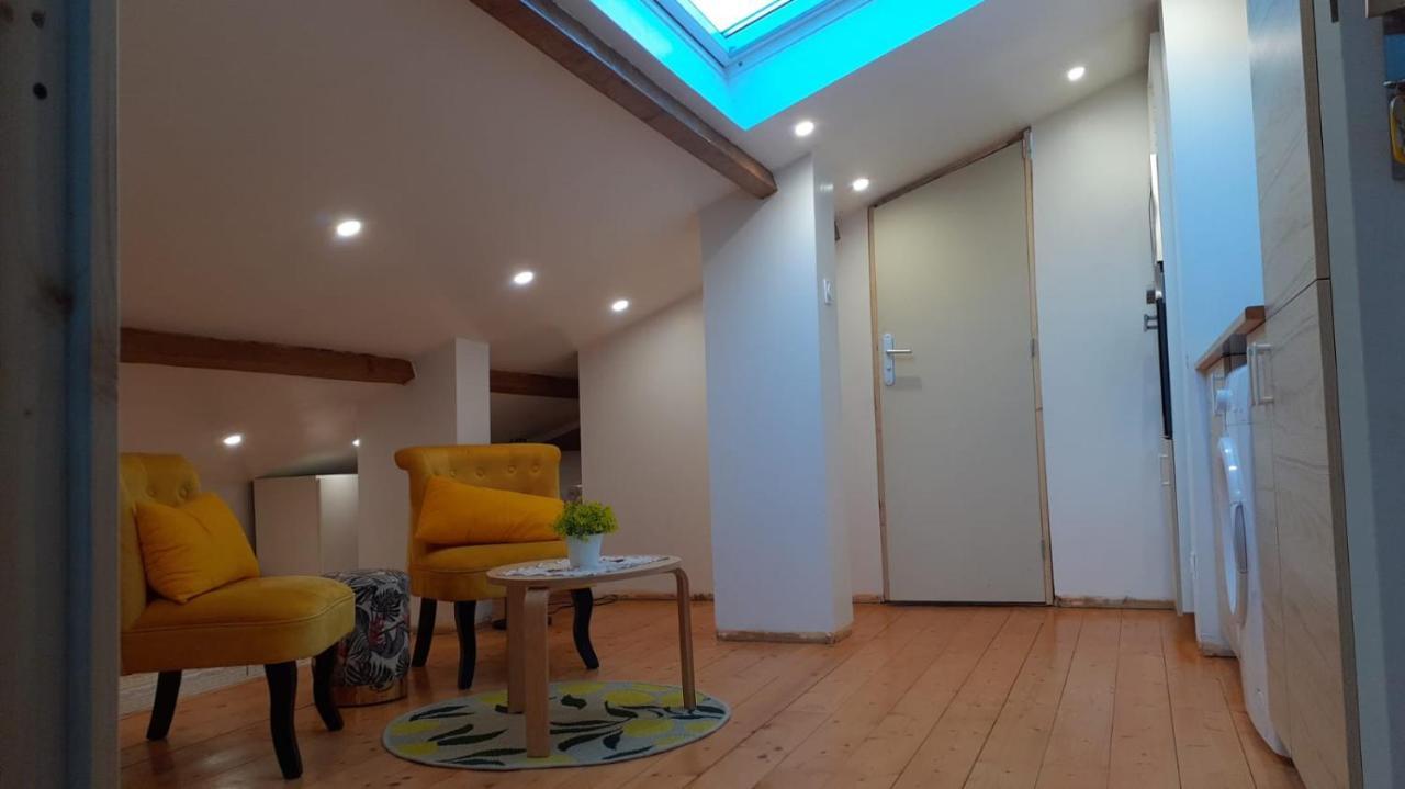 Appartement La Joie Dans Quartier Chic Pibrac Екстериор снимка